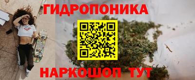 PSILOCYBIN Будённовск